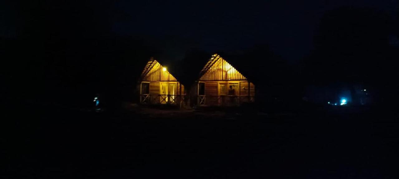 Banana Tree Home Stay هامبي المظهر الخارجي الصورة