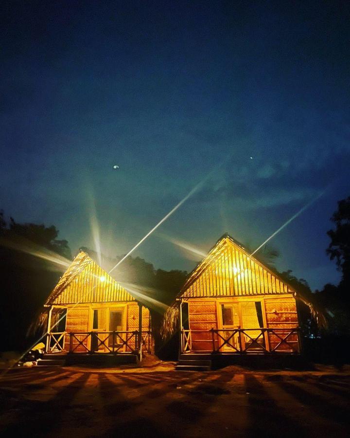 Banana Tree Home Stay هامبي المظهر الخارجي الصورة