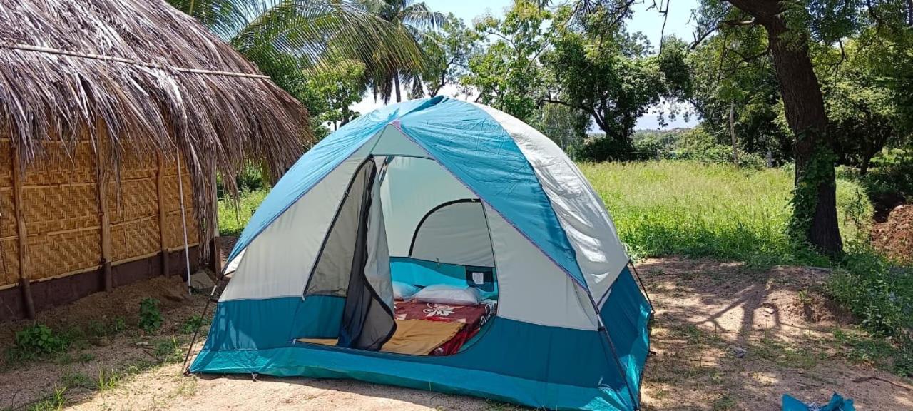 Banana Tree Home Stay هامبي المظهر الخارجي الصورة