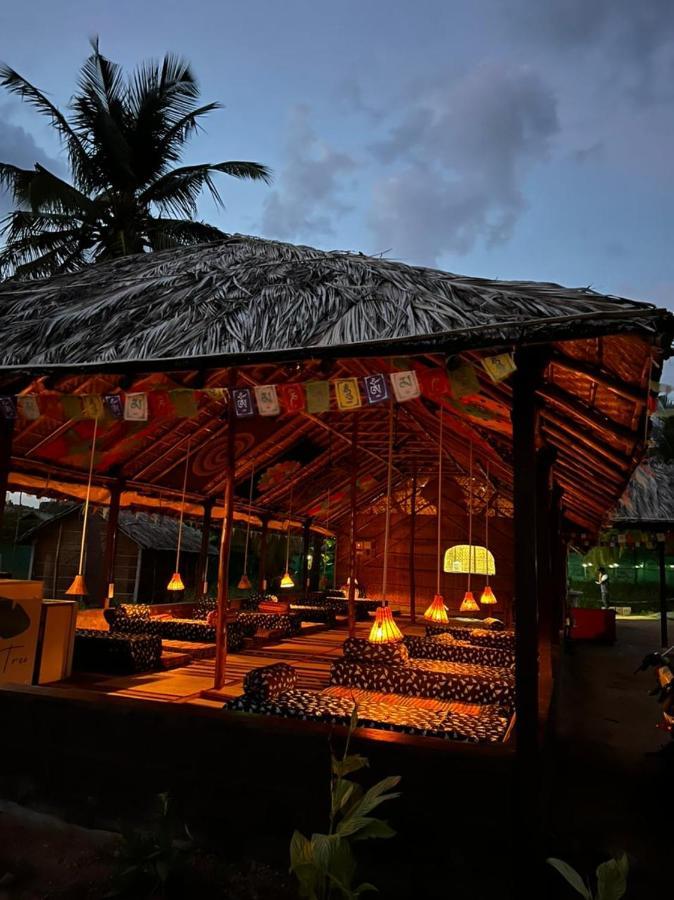 Banana Tree Home Stay هامبي المظهر الخارجي الصورة
