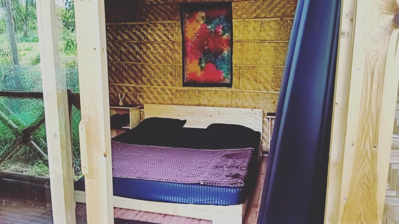 Banana Tree Home Stay هامبي المظهر الخارجي الصورة