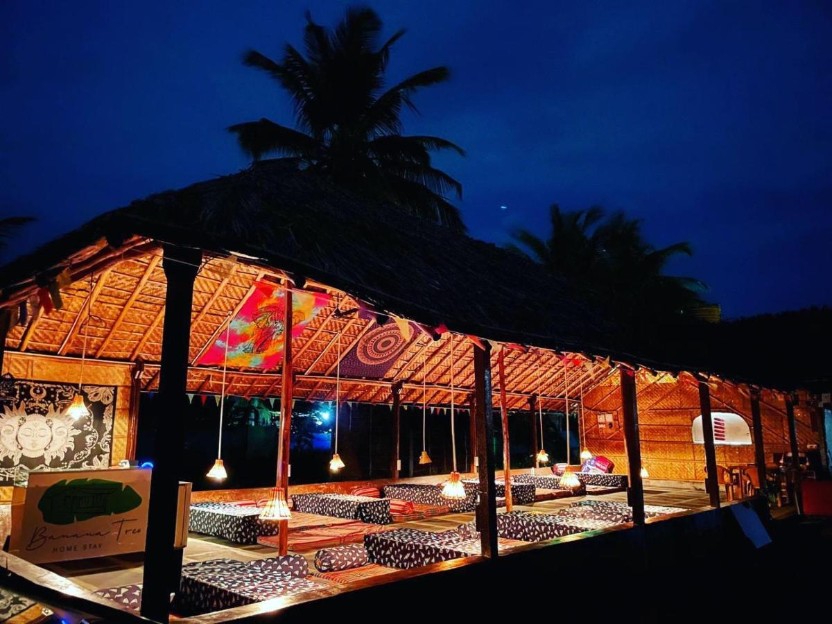 Banana Tree Home Stay هامبي المظهر الخارجي الصورة