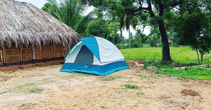 Banana Tree Home Stay هامبي المظهر الخارجي الصورة