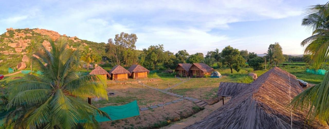 Banana Tree Home Stay هامبي المظهر الخارجي الصورة