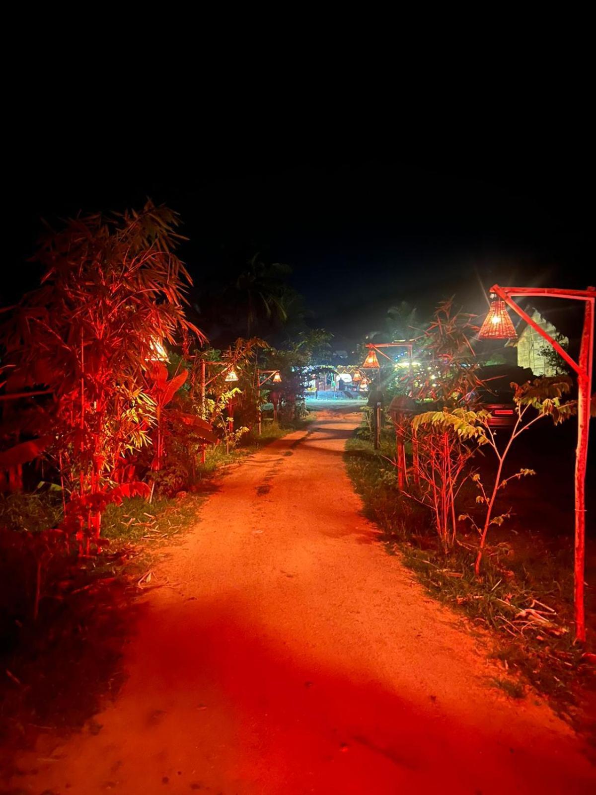 Banana Tree Home Stay هامبي المظهر الخارجي الصورة