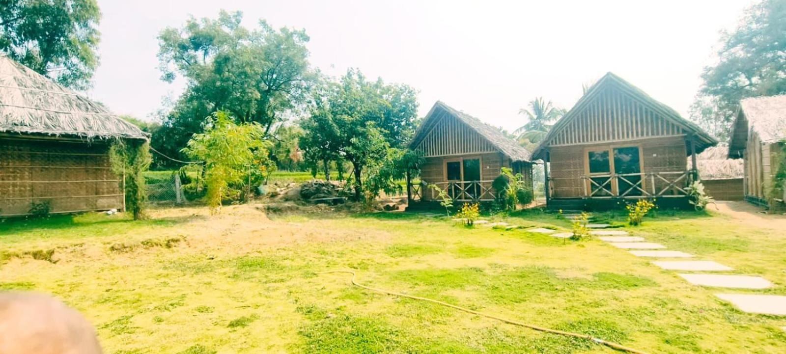 Banana Tree Home Stay هامبي المظهر الخارجي الصورة