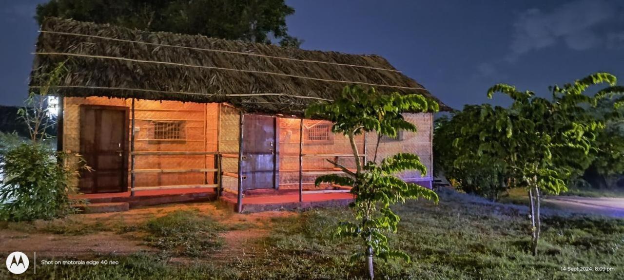 Banana Tree Home Stay هامبي المظهر الخارجي الصورة