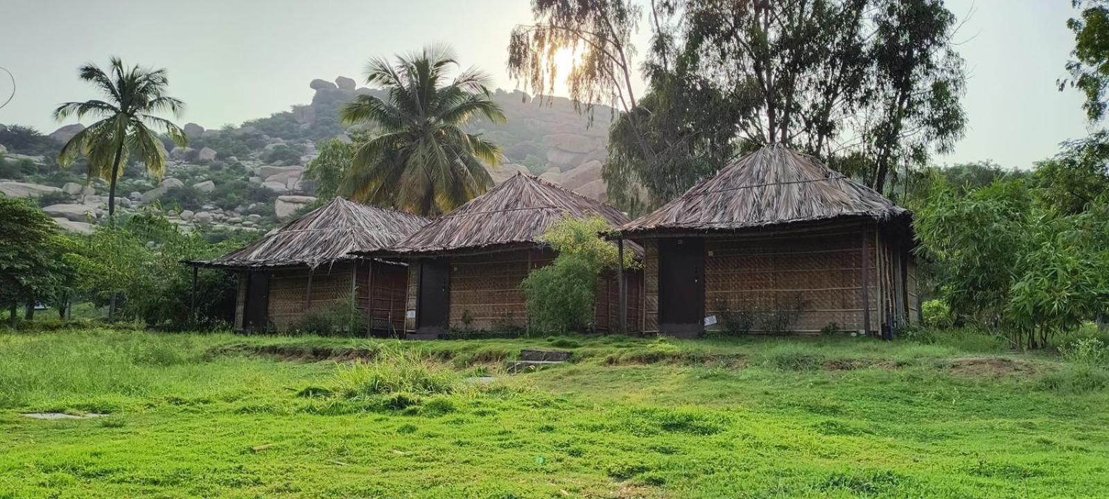 Banana Tree Home Stay هامبي المظهر الخارجي الصورة