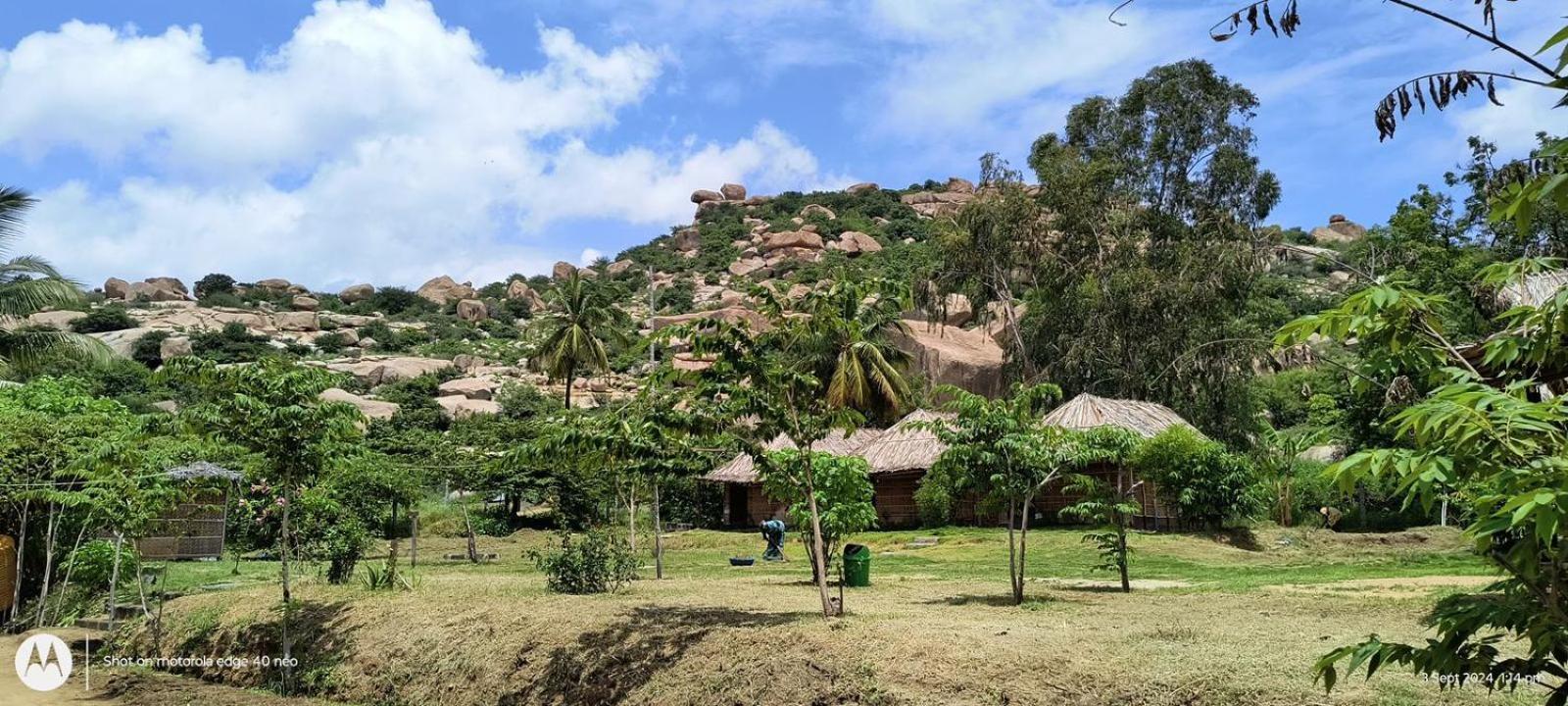 Banana Tree Home Stay هامبي المظهر الخارجي الصورة